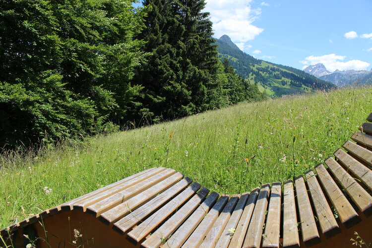© Biosphärenpark Großes Walsertal Holzliege in den Bergen