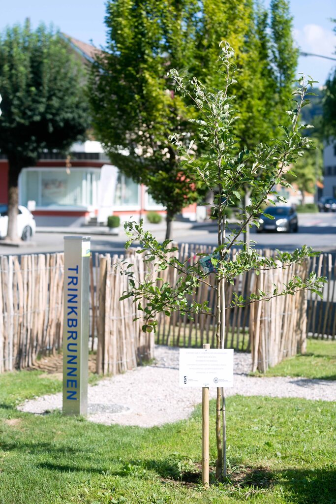 © plan b-Mathis studio Baum