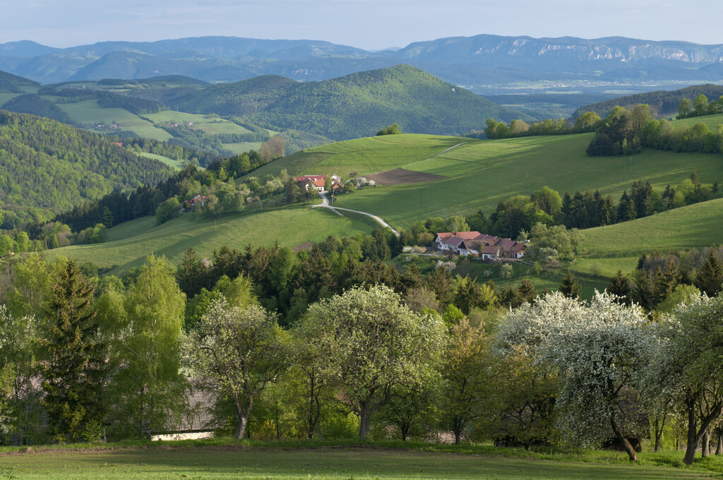 Frühlingslandschaft in der Region Bucklige Welt-Wechselland