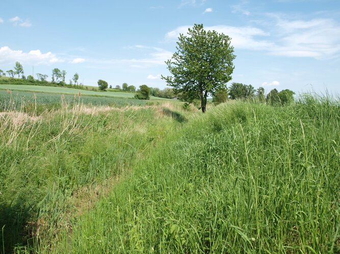 © Friedrich Egger Feldrand