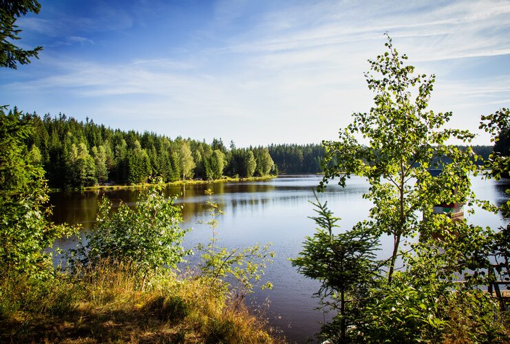 Teich mit Bäumen im Vordergrund.