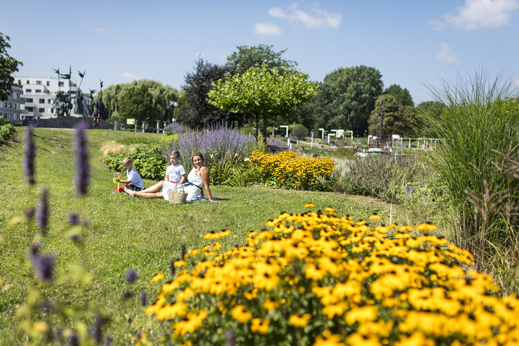 Gartenfoto mit Blumen im Vordergrund