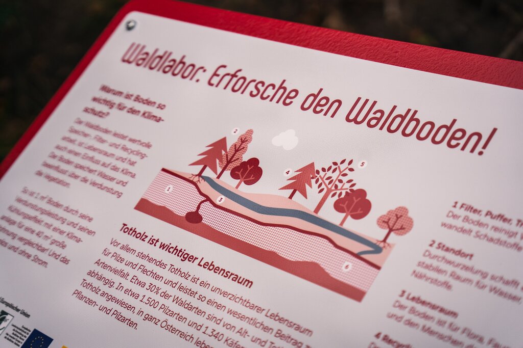 © Markjan Photography Infoblatt zum Thema Wald auf einem Klemmbrett.