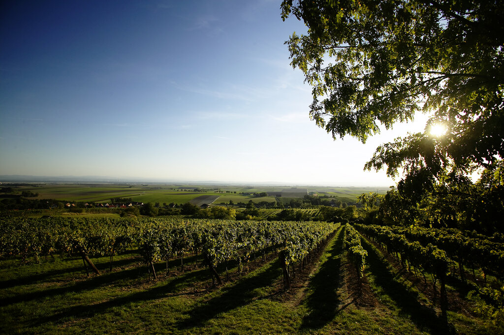 Landschaftsfoto der KLAR! Region