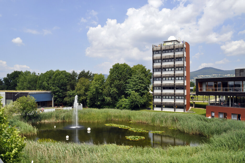 Ein kleiner schilfbewachsener Teich im Ökopark Hartberg.