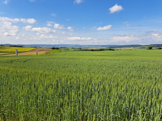 © Judith Michaeler-Teixeira