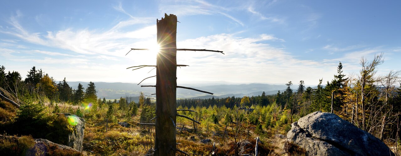 © Sterngartl Gusental Wegweiser in den Bergen