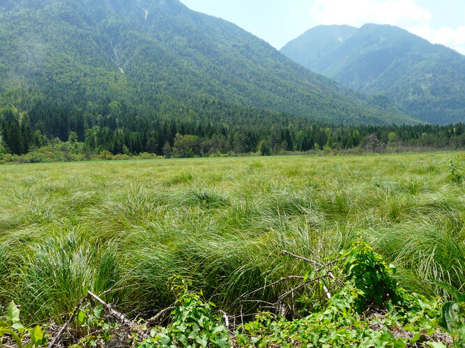 © Rober Unglaub Hochmoor in der KLAR!-Region Südkärnten.