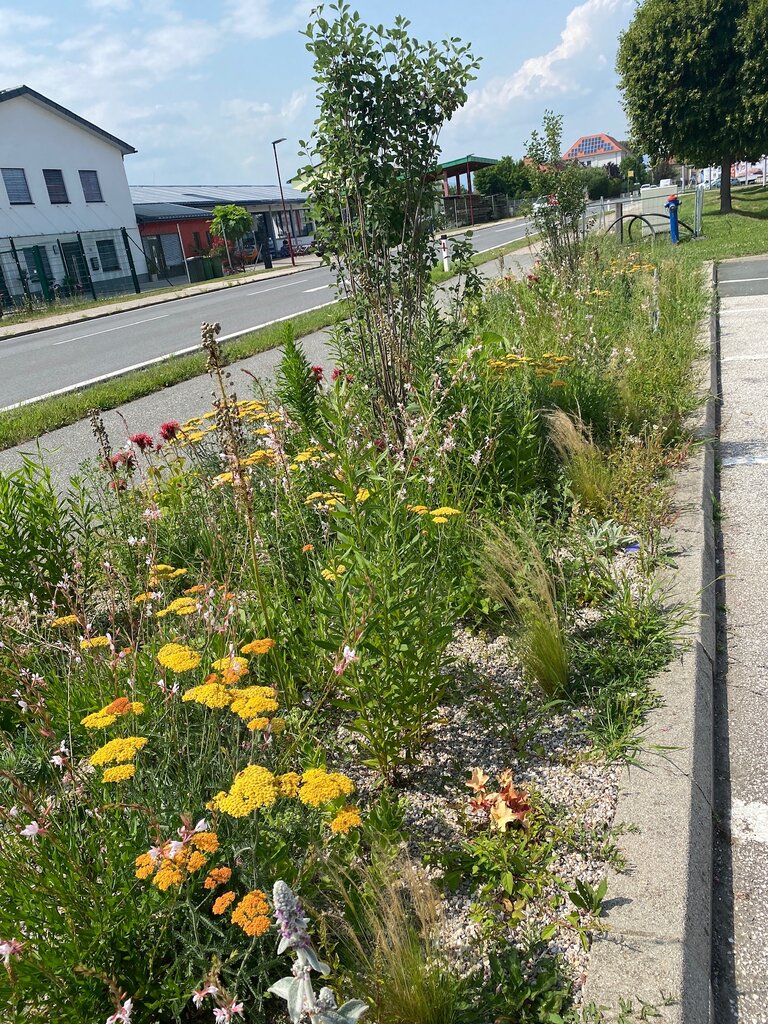 © KLAR! Lavanttal Klimagarten.