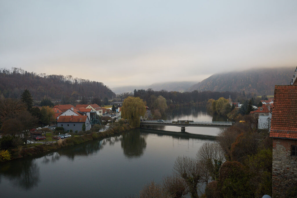 Wald mit Häusern entlang eines Flusslaufs