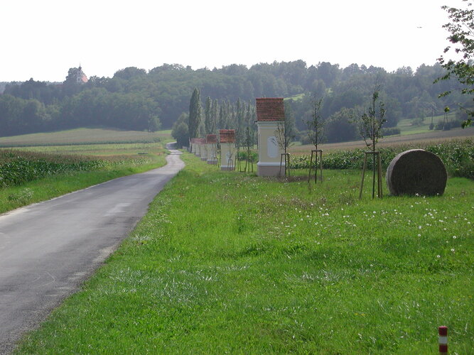 © Gemeinde Pinkafeld Eine Landstraße zieht sich durch die Landschaft, gesäumt von Marterln und jungen Bäumen.