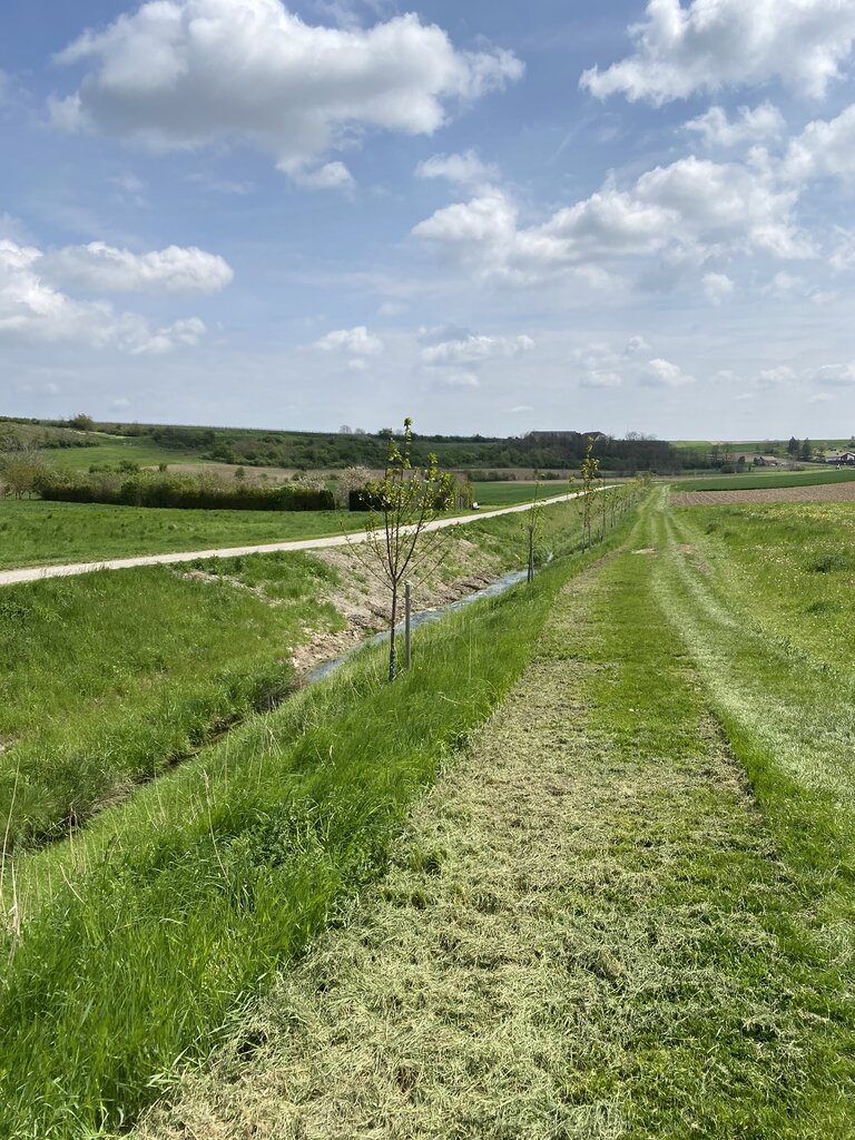 © Alexander Wimmer Wiese und blauer Himmer.