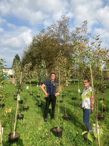 Baumfoto mit Julie Buschbaum und Thomas Schierle