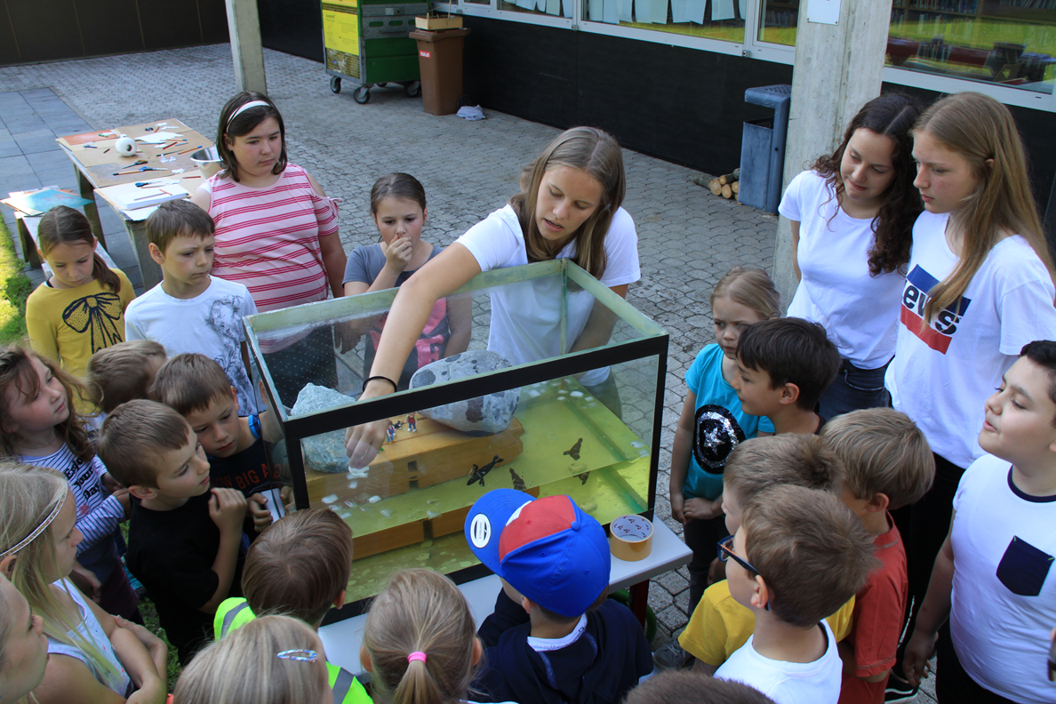 © Feurle Alexander Kinder-Klima-Kongress Aktivität