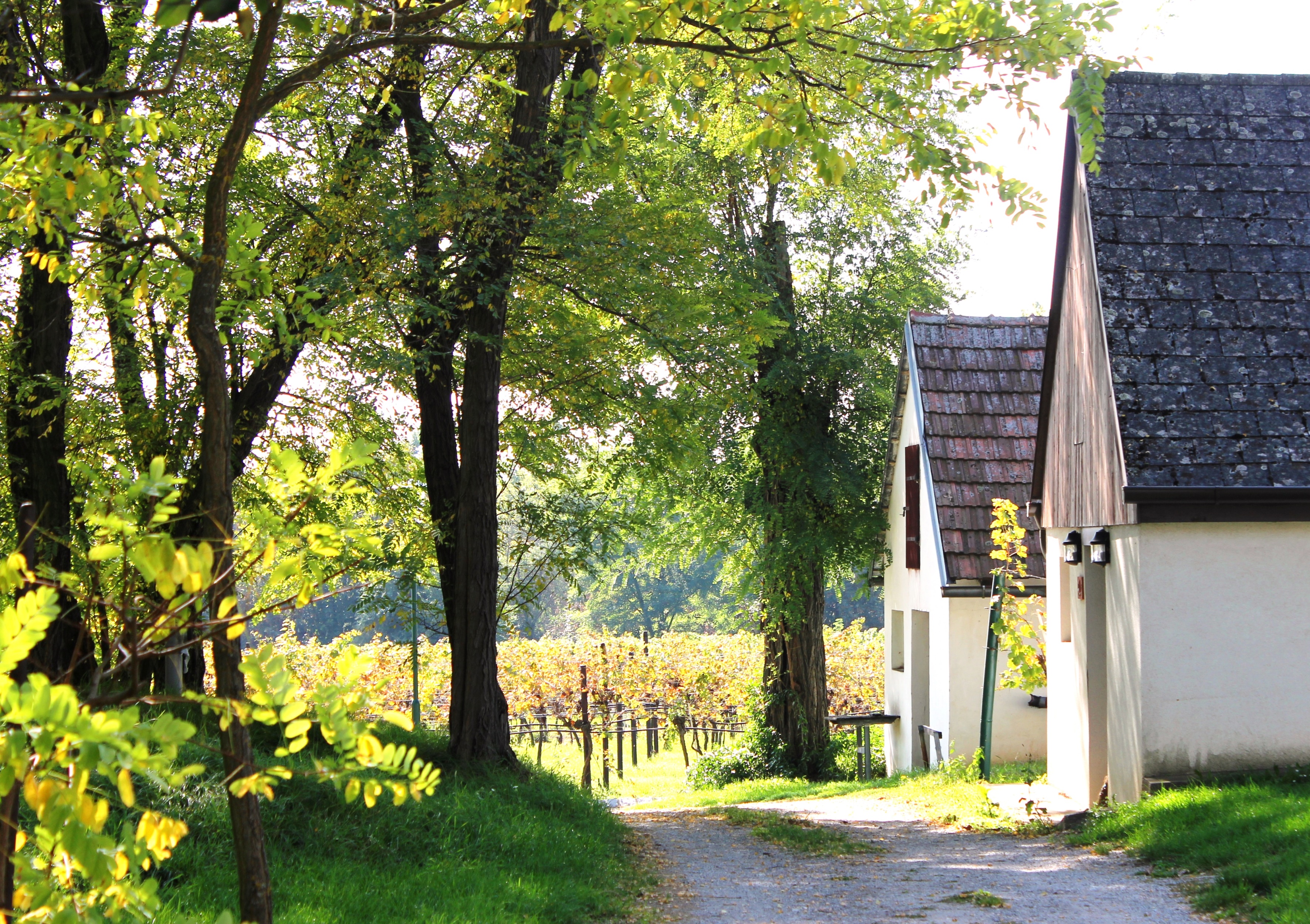 kleine Häuser mit Bäumen und Wiese