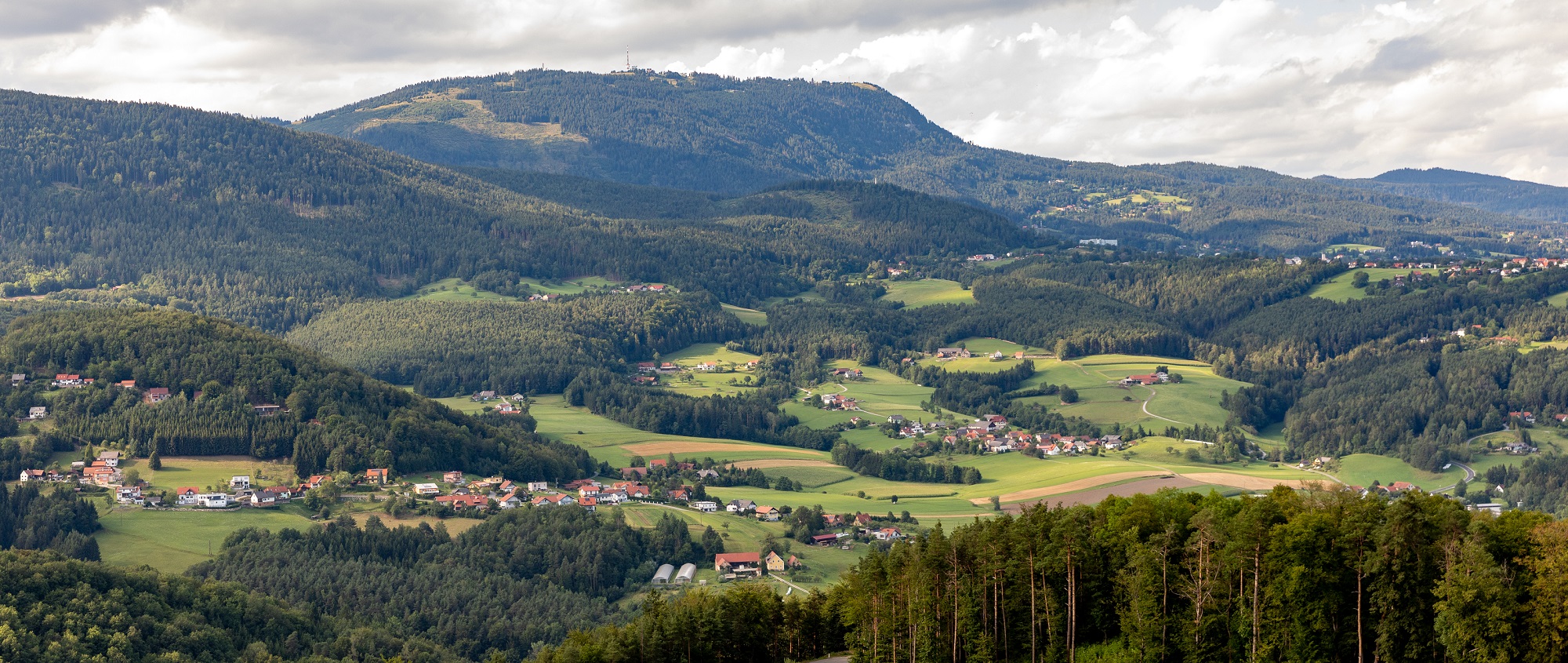 Gemeinden mit Häusern im Grünen von oben fotografiert. 